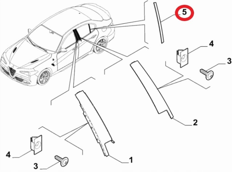 15560a5ac746a382d0825877097f38e5.jpg