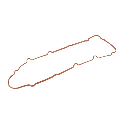 1180035.jpg