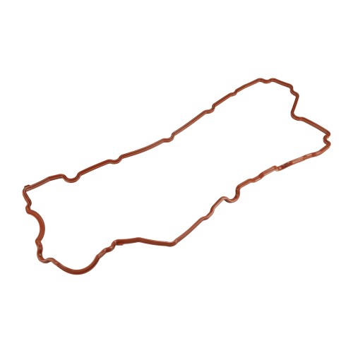 1180077.jpg