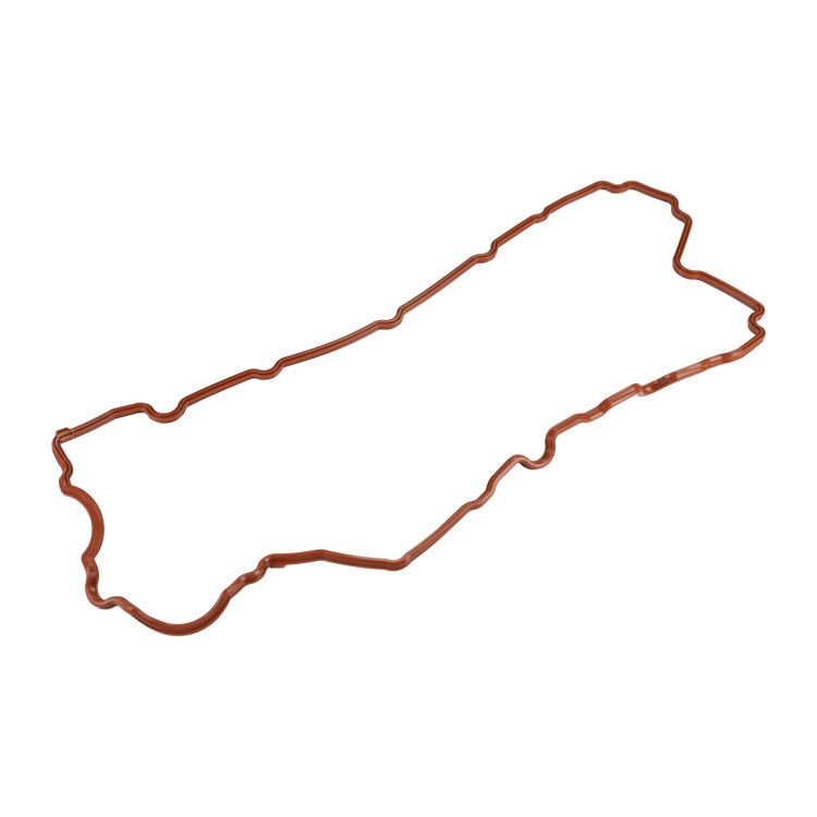 1180077.jpg