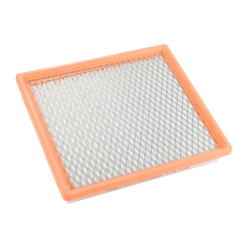 1897004.jpg