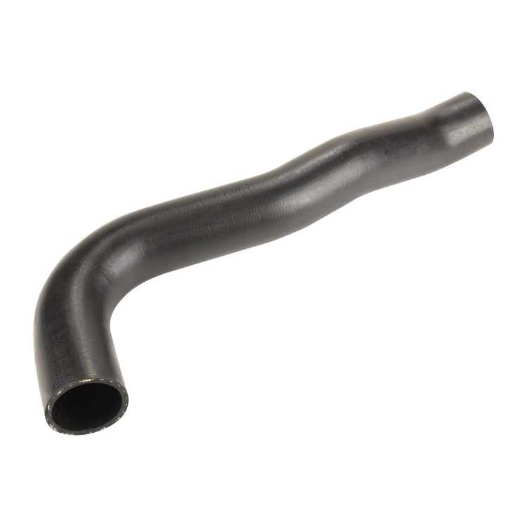 2470016.jpg