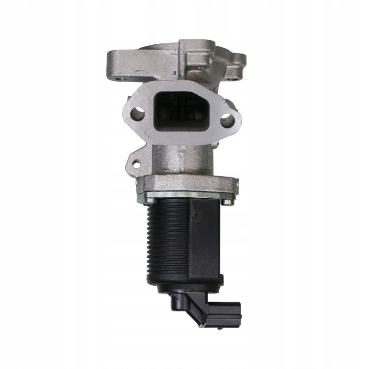 ec925adee010b81698379111e4637fec.jpg