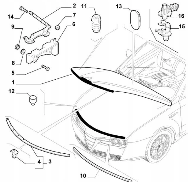 f16afe84098acf7fe35be931c81c9697.jpg
